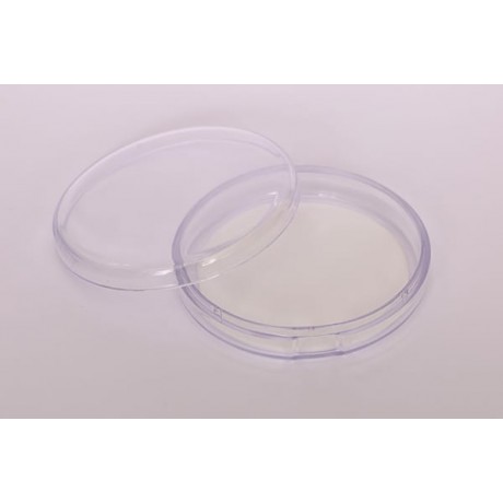 Silicon Pad for Lashes